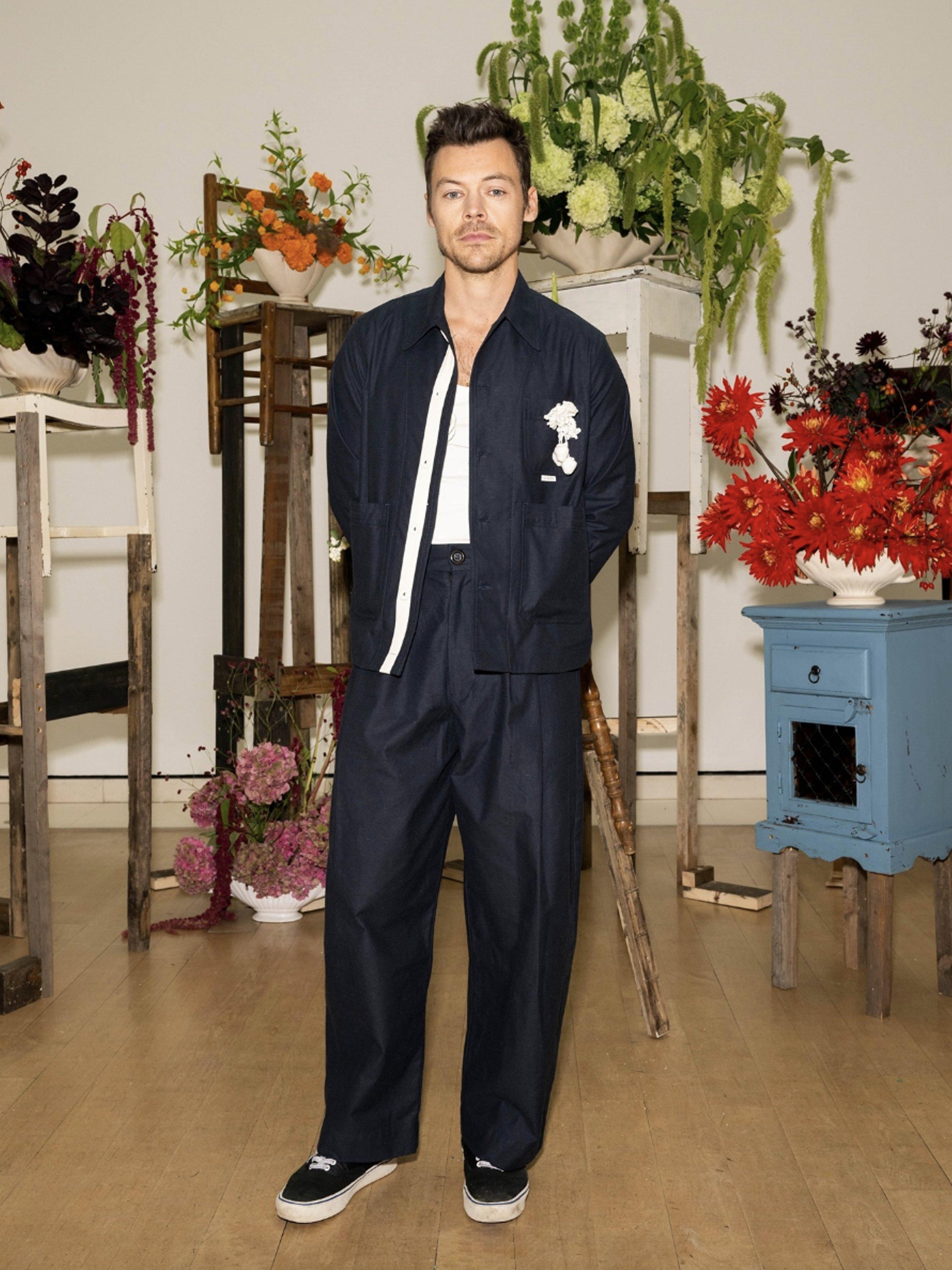 image of Harry Styles wearing SS Daley