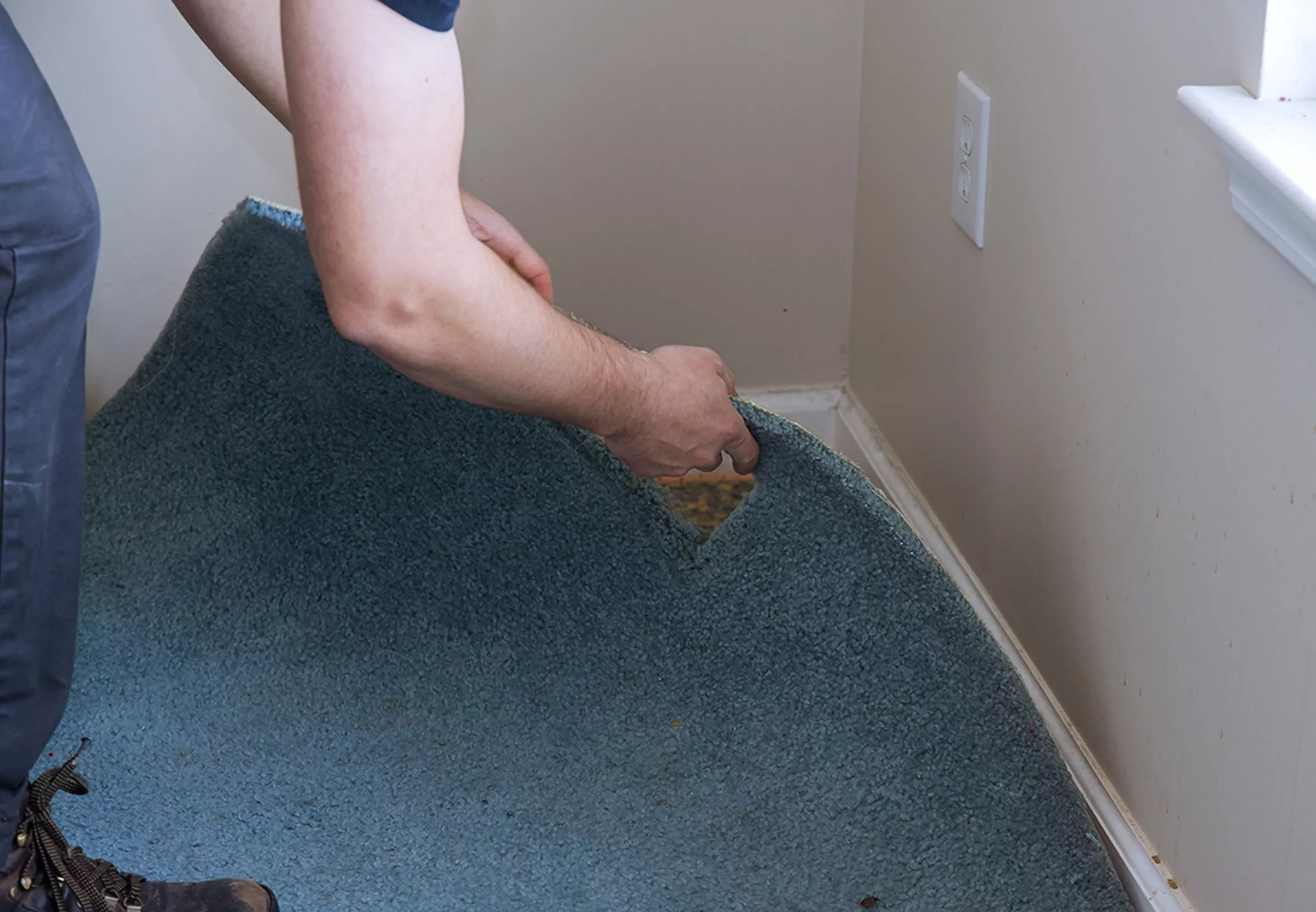 A person lifting the corner of a blue carpet in a room, revealing the flooring underneath.