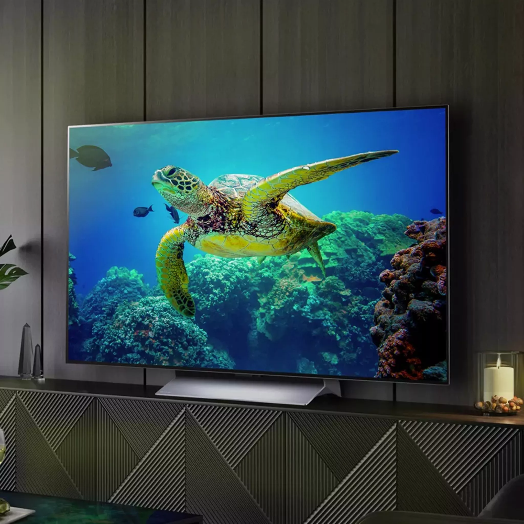 TV with swimming turtle photo on the screen