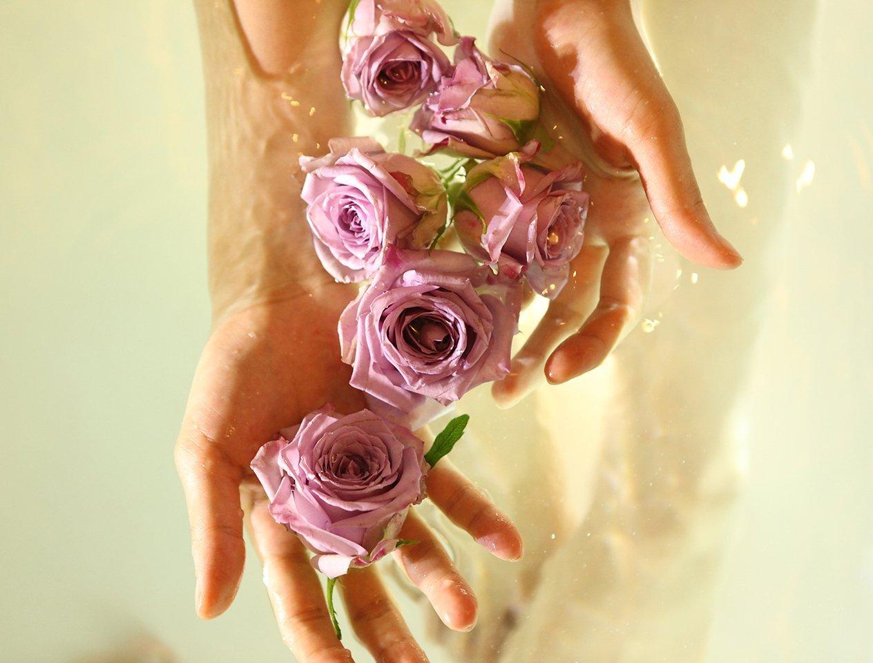 Roses in water