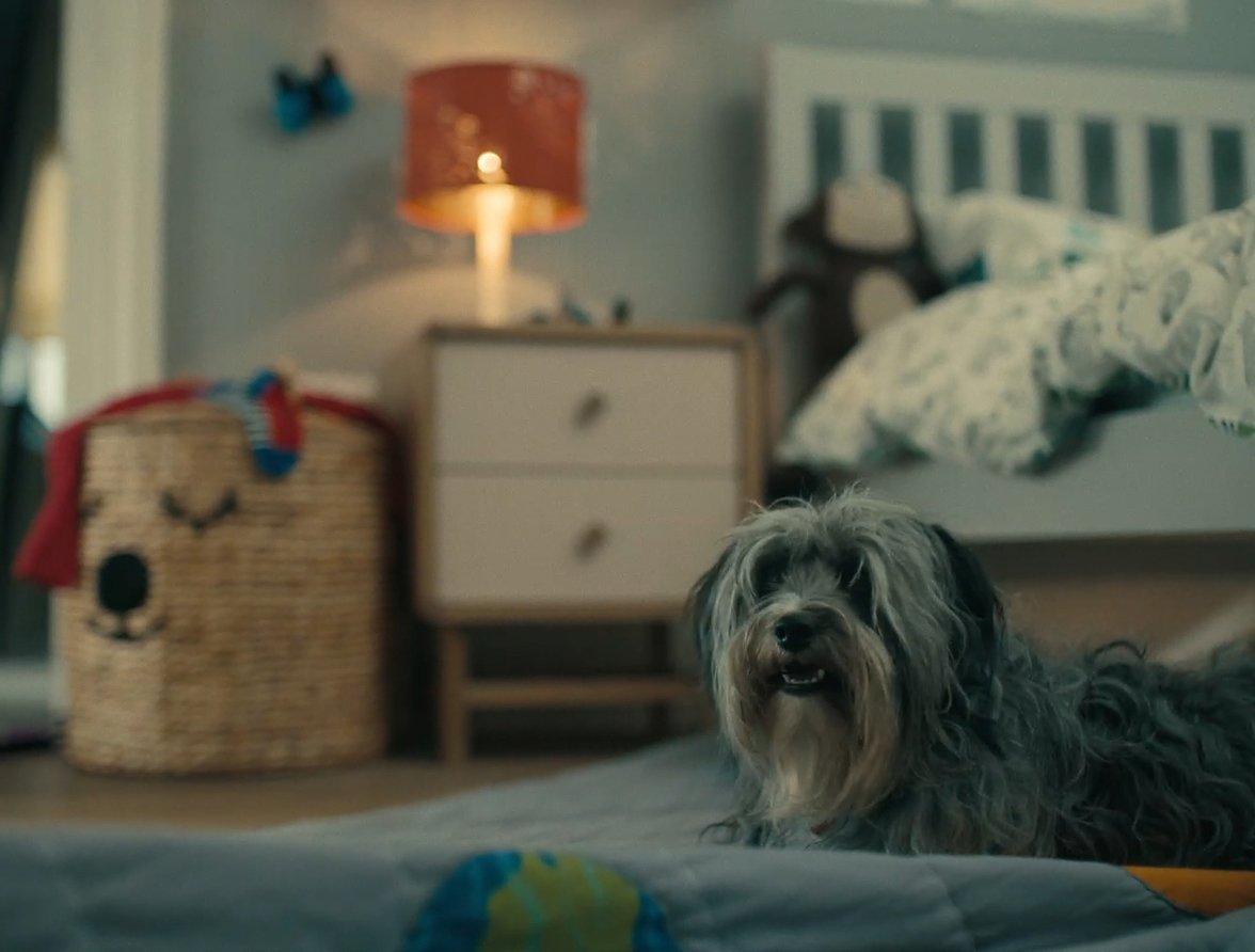 For the joy of home