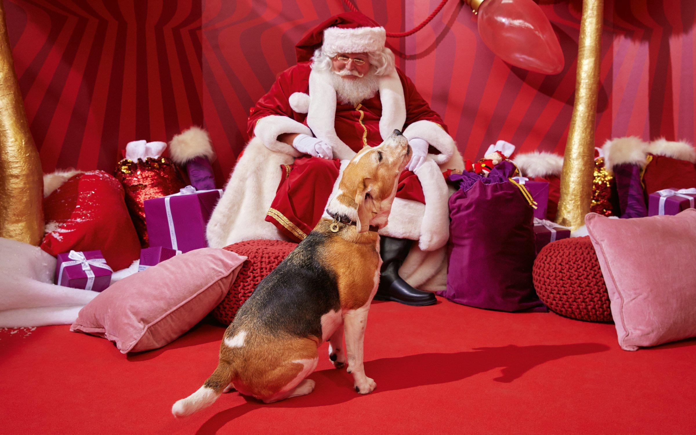 Pictures with santa 2020 near me discount