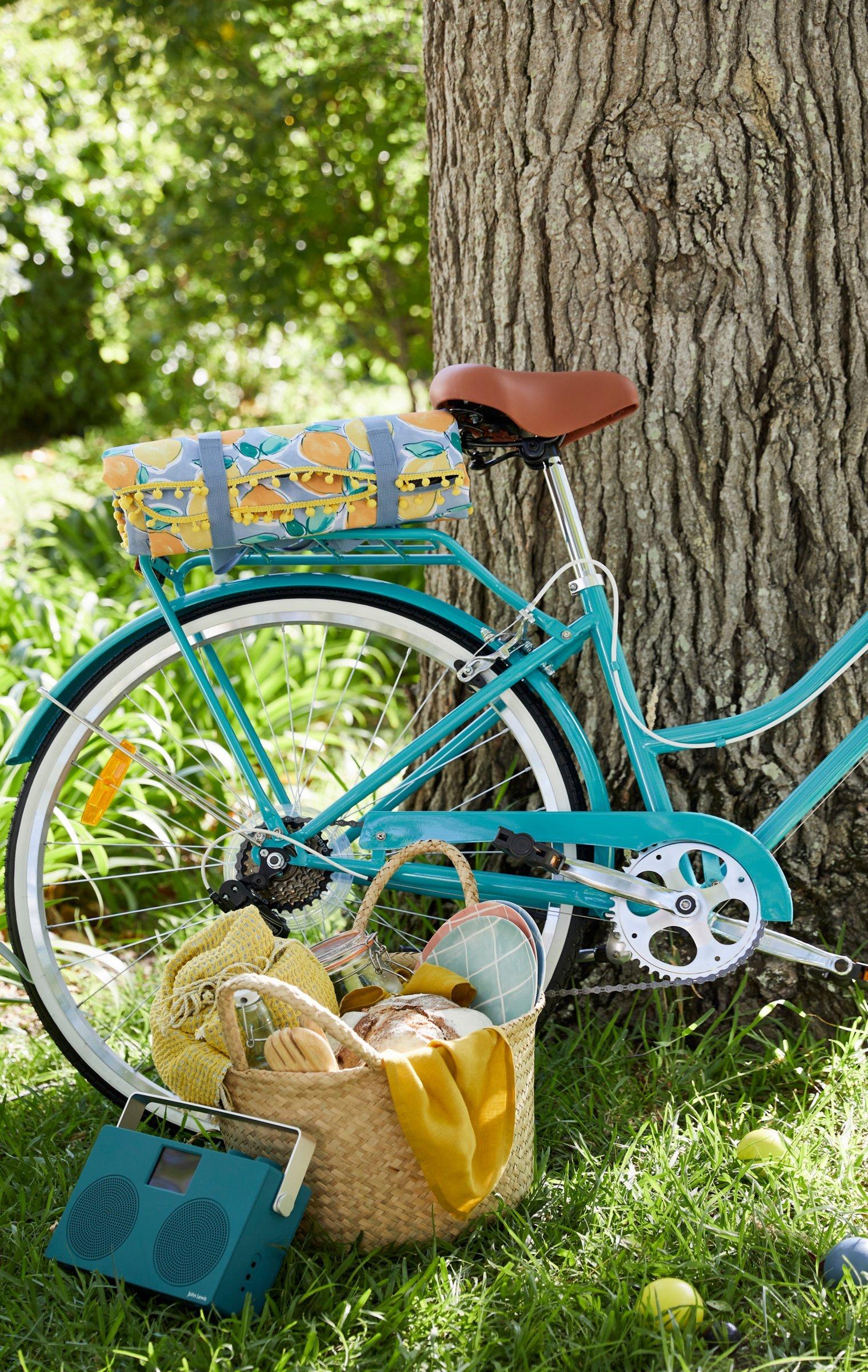 Picnic ideas transport