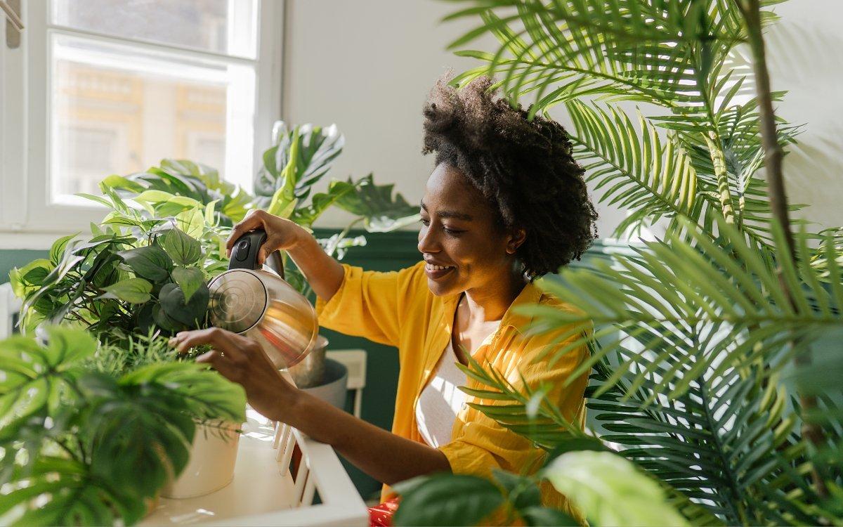 Bring nature in: try ‘plant bathing’ at home