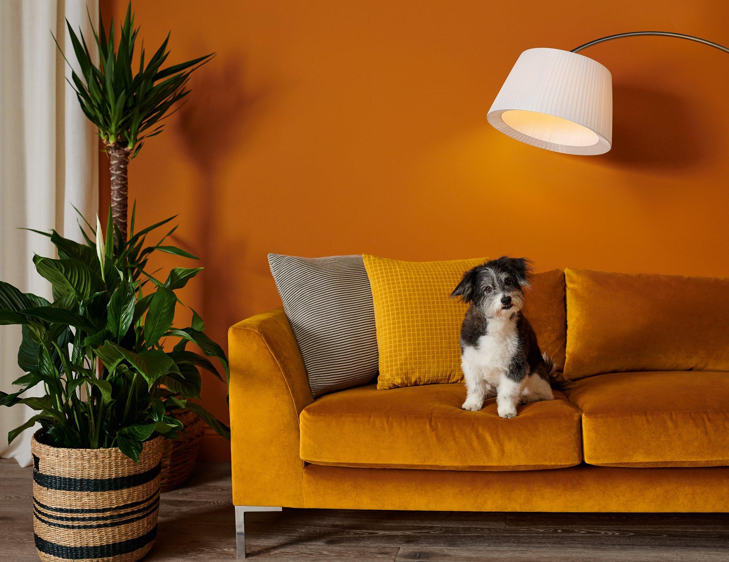 John Lewis Retail Trend Reprot 2019