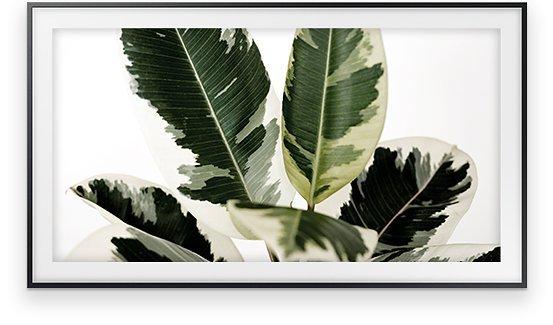 Samsung Frame