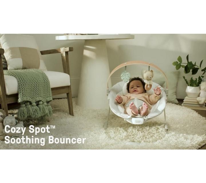 Ingenuity Cosy Spot Soothing Baby Bouncer