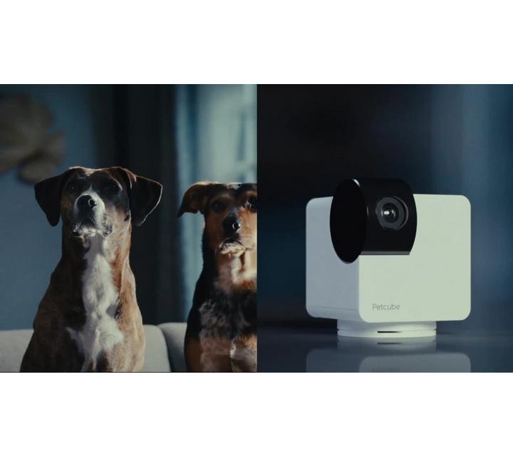 Petcube Tough Dog Cameras For Sale Petcube Cam 360 Pet Camera With