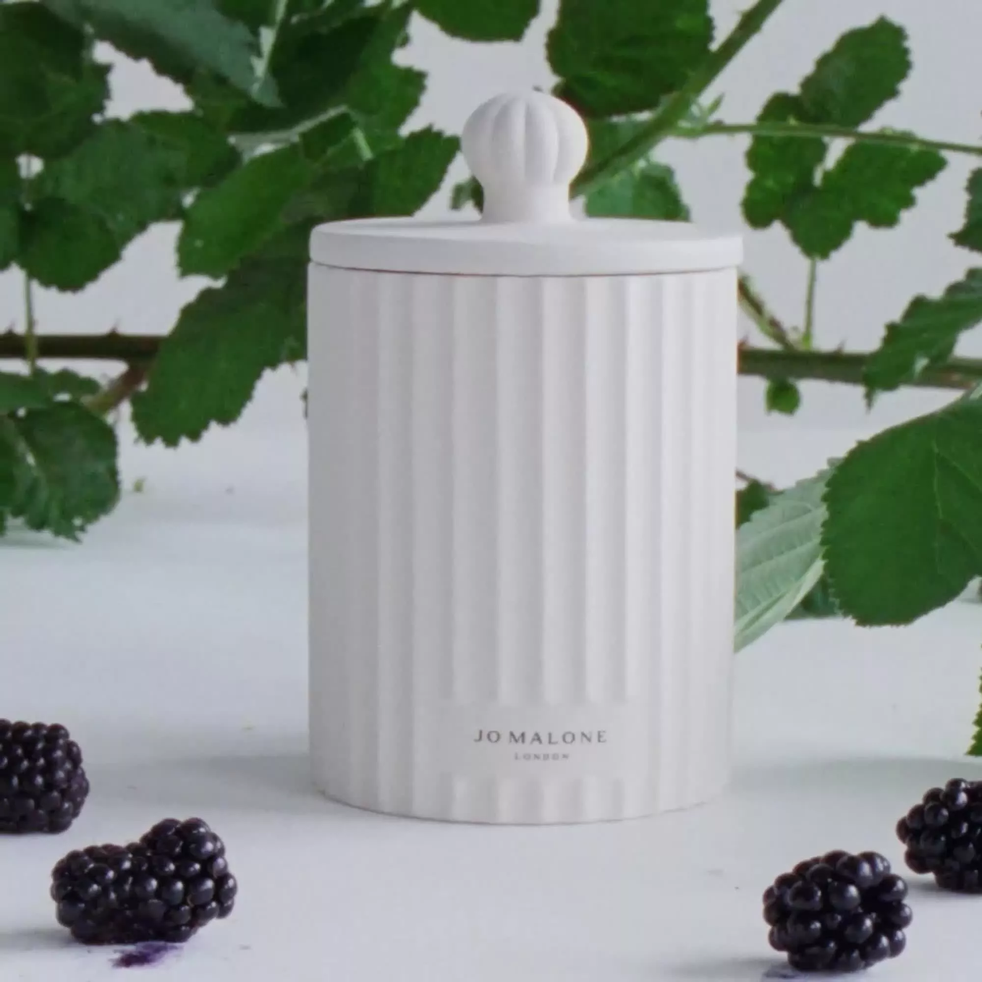 Jo Malone London Wild Berry & Bramble Statement Townhouse Diffuser