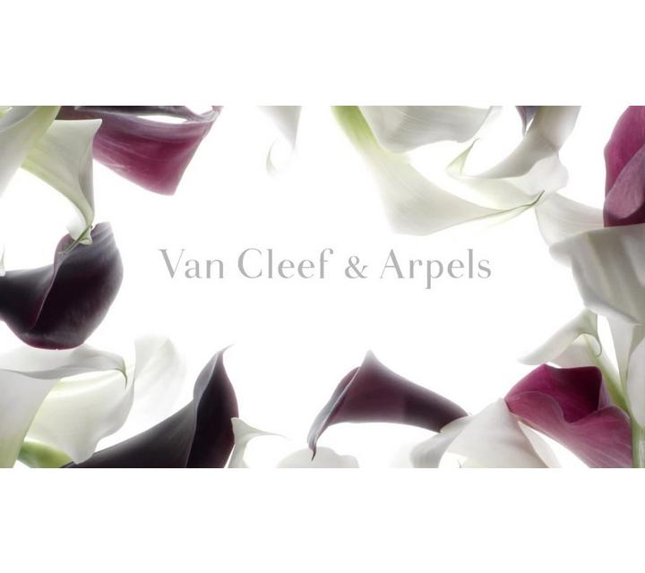 Van Cleef & Arpels Collection Extraordinaire Gardénia Pétale Eau